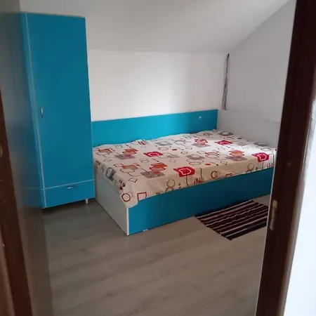Vila Nicu Villa