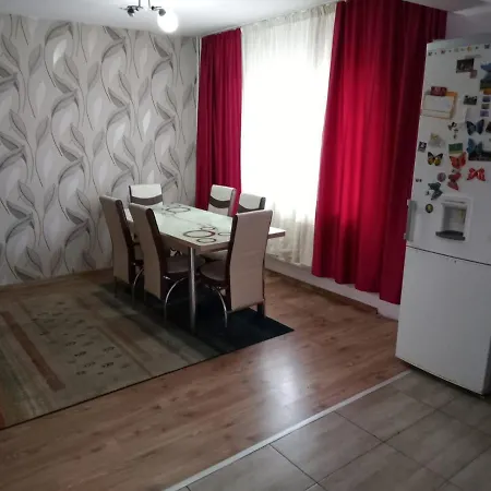 Vila Nicu * Năvodari